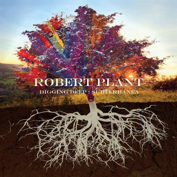 Plant Robert Cd2 Digging  Deep : Subterranea