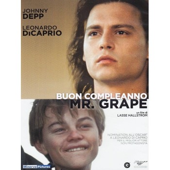 Buon Compleanno Mr. Grape Dvd