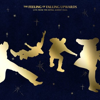 5 Seconds Of Summer Lp The Feeling Of Falling Upwards The Feeling Of Falling Upwards