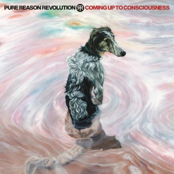 Pure Reason Cd Coming Up To Consciousness