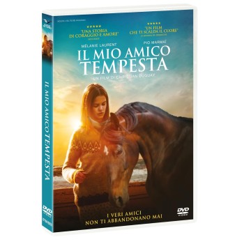 Mio Amico Tempesta (Il) Dvd