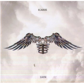 Zayn Cd2 Icarus Falls