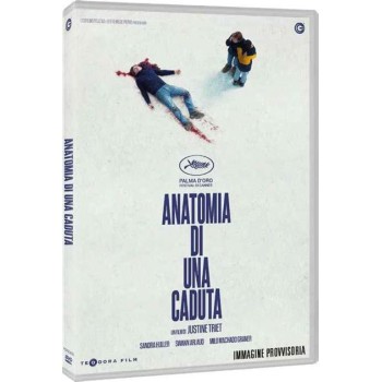 Anatomia Di Una Caduta Dvd